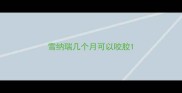 雪纳瑞几个月可以咬胶