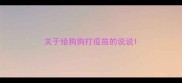 关于给狗狗打疫苗的说说