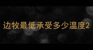 边牧最低承受多少温度
