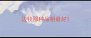 边牧那种品相最好