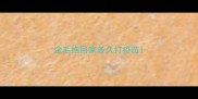 金毛抱回家多久打疫苗