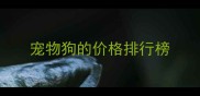 宠物狗的价格排行榜