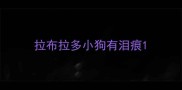 拉布拉多小狗有泪痕