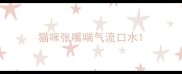 猫咪张嘴喘气流口水