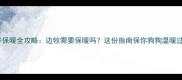 边境牧羊犬冬季保暖全攻略边牧需要保暖吗这份指南保你狗狗温暖过冬