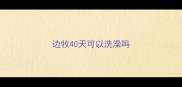 边牧40天可以洗澡吗