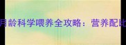 金毛幼犬2-3月龄科学喂养全攻略营养配比与饮食禁忌