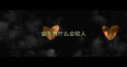 金毛为什么会咬人