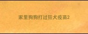 家里狗狗打过狂犬疫苗