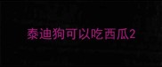 泰迪狗可以吃西瓜