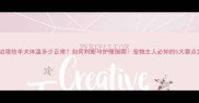 边境牧羊犬体温多少正常如何判断与护理指南宠物主人必知的5大要点