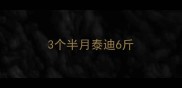 3个半月泰迪6斤