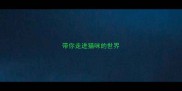 带你走进猫咪的世界