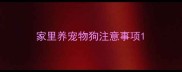 家里养宠物狗注意事项
