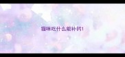 猫咪吃什么能补钙