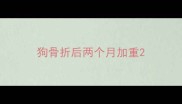 狗骨折后两个月加重