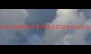 思茅拉布拉多犬舍推荐普洱市思茅区正规犬舍地址及选狗全攻略