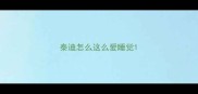 泰迪怎么这么爱睡觉