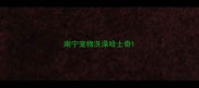 南宁宠物洗澡哈士奇