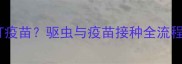 幼犬驱虫后多久能打疫苗驱虫与疫苗接种全流程指南附时间表