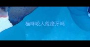 猫咪咬人能磨牙吗