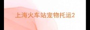 上海火车站宠物托运