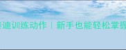 10个必学泰迪训练动作新手也能轻松掌握的推荐教程