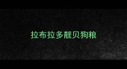 拉布拉多靓贝狗粮