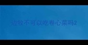 边牧不可以吃卷心菜吗