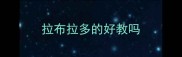 拉布拉多的好教吗