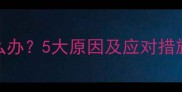 小狗突然不能站立怎么办5大原因及应对措施附家庭护理指南