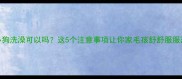 晚上给小狗洗澡可以吗这5个注意事项让你家毛孩舒舒服服洗个澡
