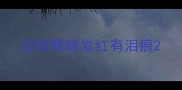 边牧眼睛发红有泪痕