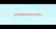合肥宠物学校培训学校