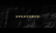拉布拉多交流俱乐部