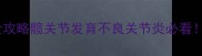 拉布拉多老年关节护理全攻略髋关节发育不良关节炎必看科学养护延长爱犬寿命