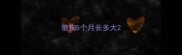狼狗5个月长多大