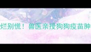 疫苗后红肿溃烂别慌兽医亲授狗狗疫苗肿块处理全攻略