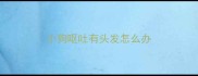 小狗呕吐有头发怎么办