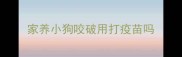 家养小狗咬破用打疫苗吗