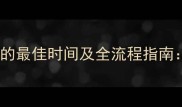 奶猫接种疫苗的最佳时间及全流程指南新手必看