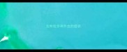 拉布拉多体外虫的症状