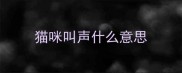 猫咪叫声什么意思