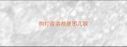 狗打疫苗都是那几联