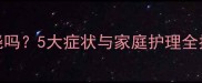 狗狗耳朵发烫是发烧吗5大症状与家庭护理全指南附体温标准