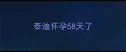 泰迪怀孕58天了