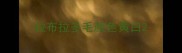 拉布拉多毛颜色黄白