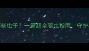 狗狗身上会有哪些虫子一篇超全驱虫指南守护毛孩子健康必备
