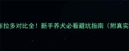 金毛vs拉布拉多对比全新手养犬必看避坑指南附真实养宠经验