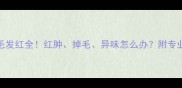 金毛脚毛发红全红肿掉毛异味怎么办附专业护理指南